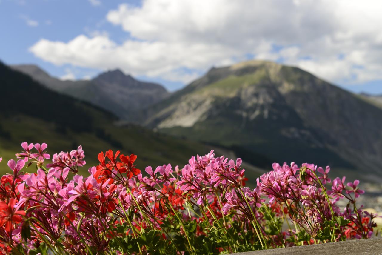 Chalet Garden Livigno Exterior photo