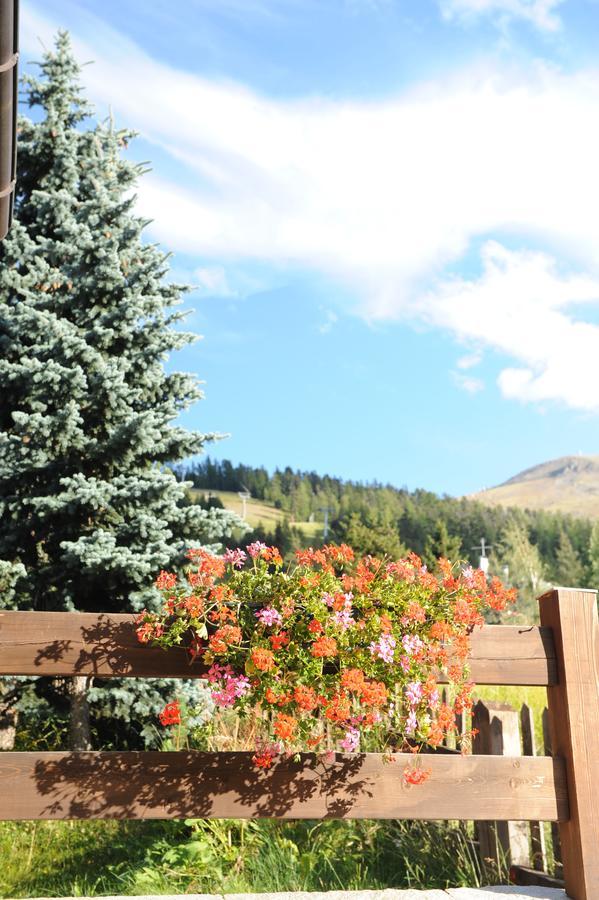 Chalet Garden Livigno Exterior photo